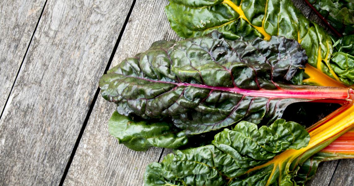 Swiss Chard Recipe for Swiss Chard, Kale, and Feta Chicken Salad The University of Vermont