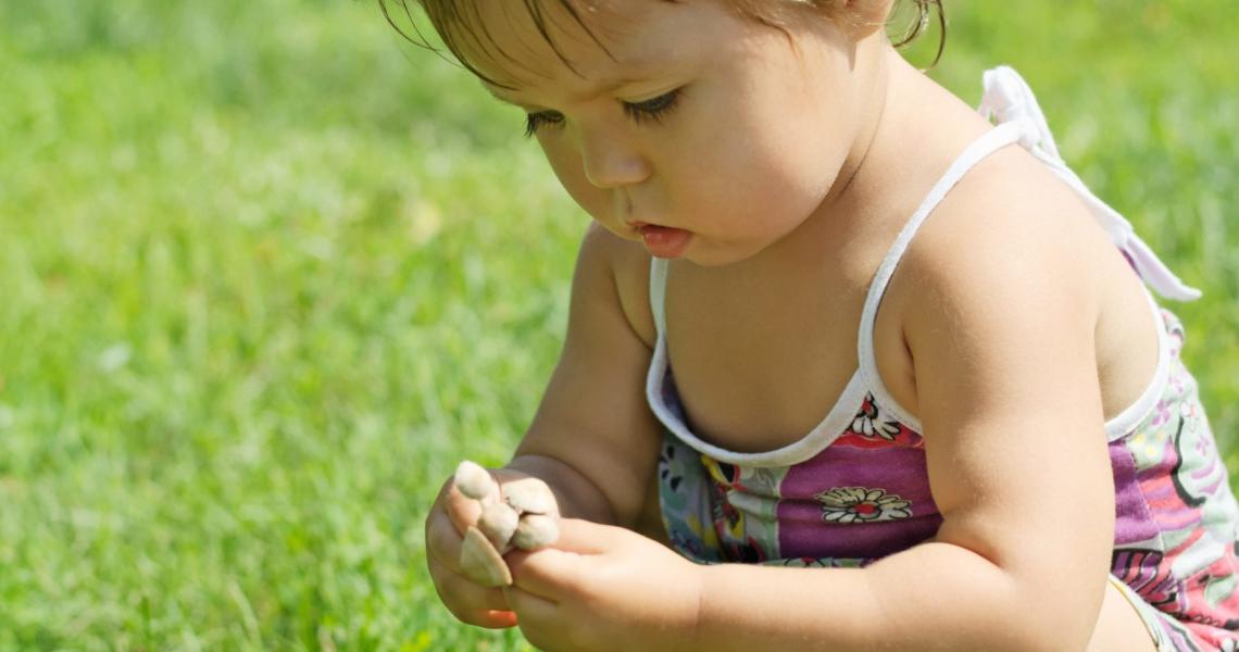 poisonous-plants-health-safety