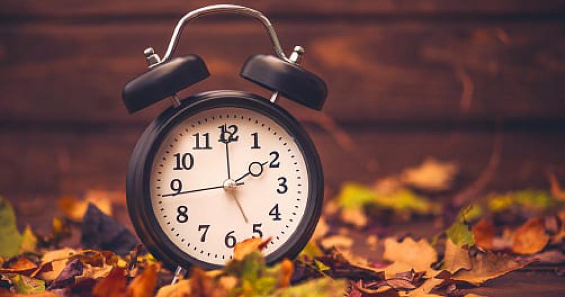 clock in leaves