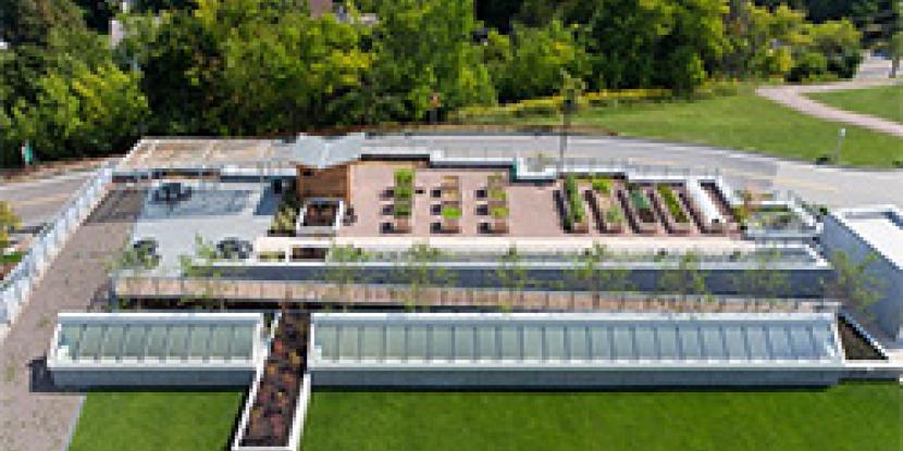 UVMMC Rooftop Garden