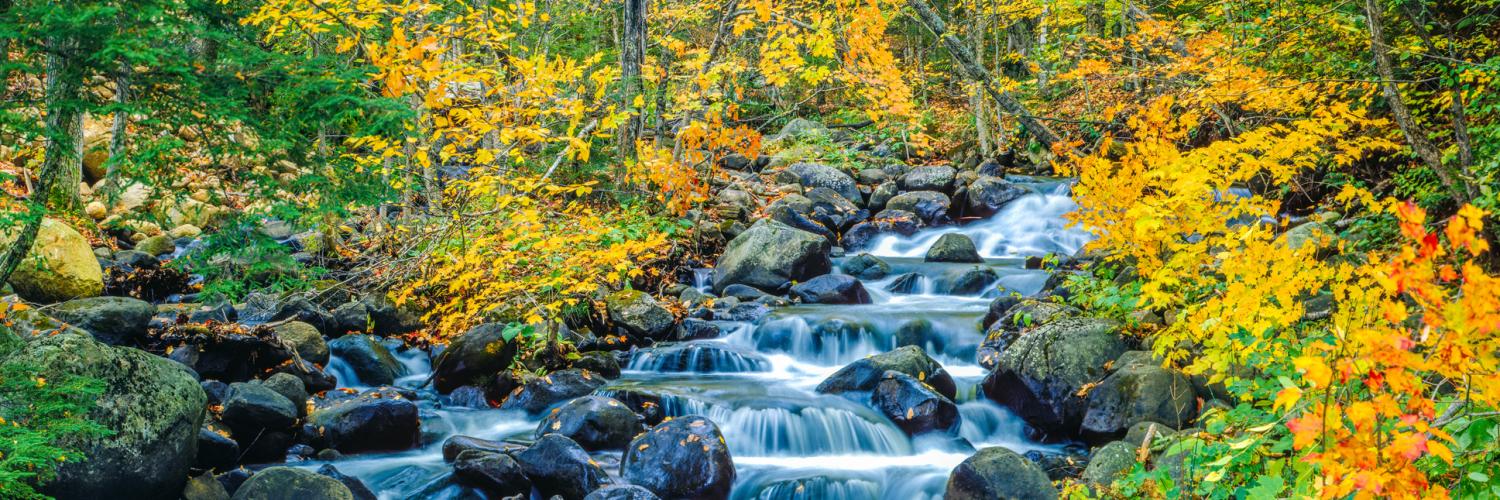 River running though an autumn forest in Vermont.