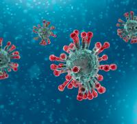 Coronavirus (COVID-19)